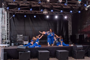 P1588091.jpg