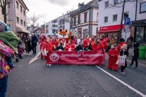 fasching 7.jpg